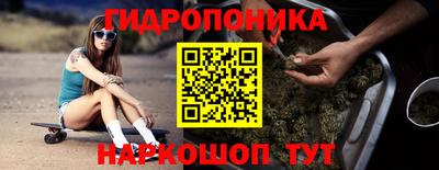 шишки Гусиноозёрск