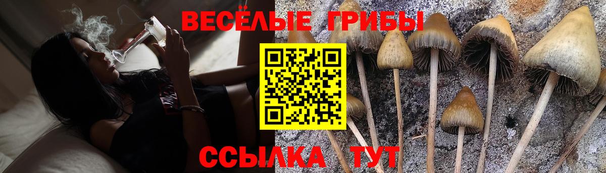 Псилоцибиновые грибы MAGIC MUSHROOMS  Вход с VPN  Конаково 