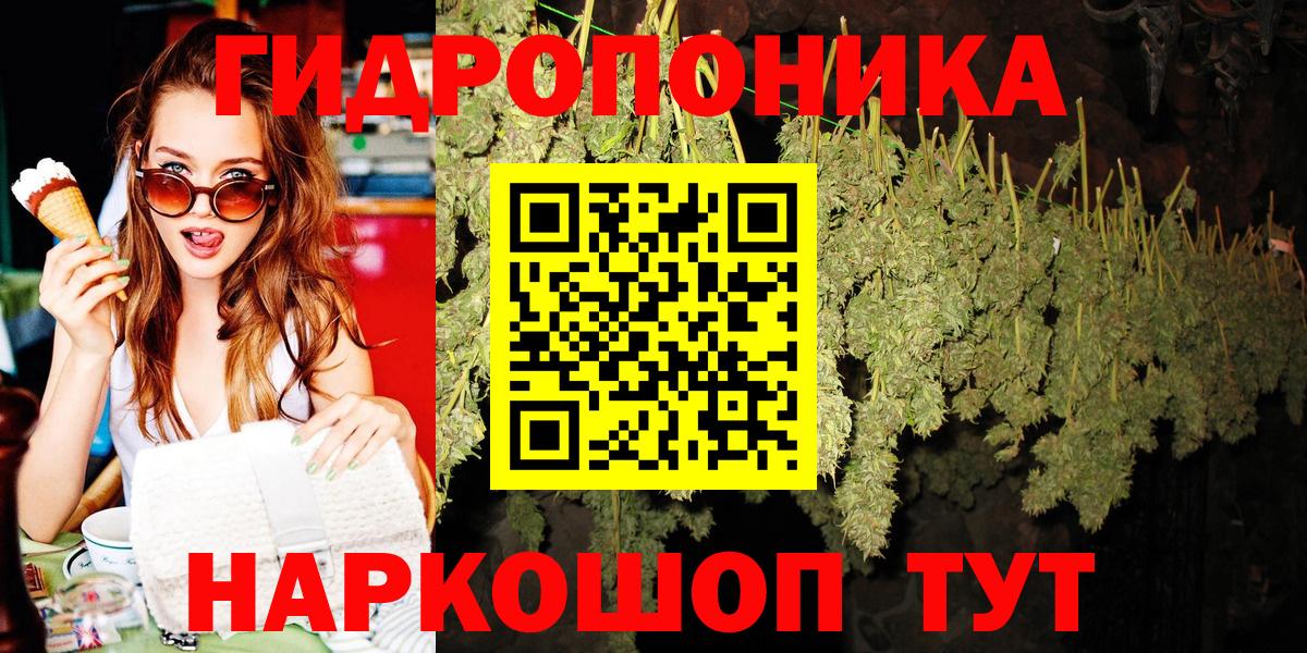 Конопля сатива Конаково